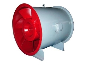 消防麻豆APP黄色网站的主要表現有哪些？