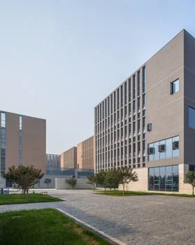 麻豆APP黄色网站