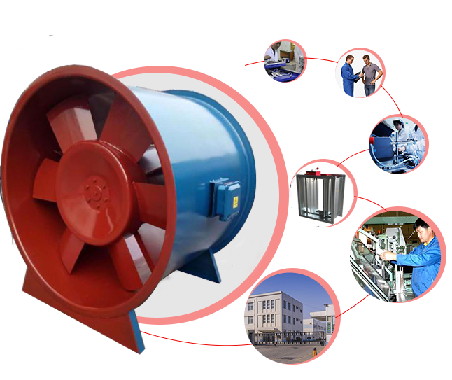 3c麻豆APP在线观看